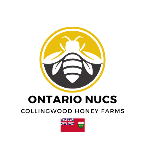 honey1005ページ Natural Raw Local Honey in Collingwood and the Blue Mountains